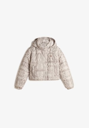 Vans HILLGATE CROPPED PUFFER - Winter jacket - light grey