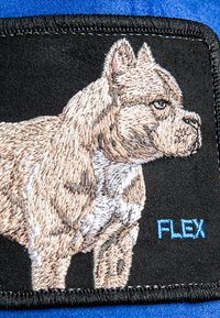 Embroidered patch featuring a light brown dog profile on a black background, with the word "FLEX" in blue thread. Textured detailing enhances the design.
