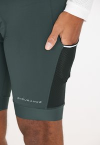 Endurance BRILLANT - Leggings - dusty forest