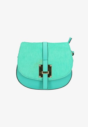 Turquoise schoudertas met een textuur die lijkt op bont aan de voorkant, afgewerkt met gladde leren details, gouden hardware accenten en een gestructureerd flapontwerp.