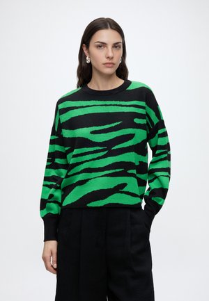 Kvinde med mørkt hår iført en grøn og sort zebra-stribet sweater og sorte bukser, stående med den ene hånd i lommen mod en hvid baggrund.