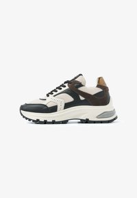 Selected, multicolored beige black brown