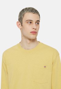 Dickies LURAY POCKET - Mikina - fall leaf