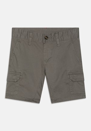 Grijze cargoshorts van katoen, met een knoopsluiting, voorzakken en zijcargozakken met klepdetails.