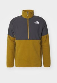 GLACIER HEAVYWEIGHT 1/2 ZIP - Pulover iz flisa - moss green/asphalt grey