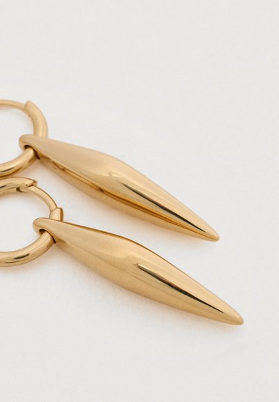 Σκουλαρίκια χρυσού χρώματος με αιχμηρό, επιμηκυμένο σχέδιο. Λείο, ανακλαστικό επιφάνεια με κυκλικό στεφάνι σύνδεσης.