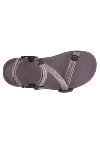 Merrell - Nova 3 - Chaussures grandes tailles - randonnée/trail