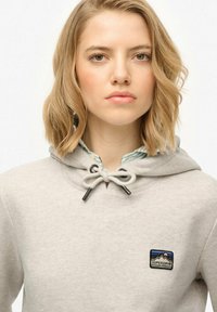 Sudadera ligera gris con cordón, que presenta un pequeño logo de montaña bordado. Tejido suave y corte relajado, con capucha forrada.