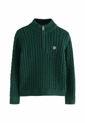 REGULAR FIT - Trui - green