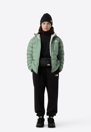 REVERSIBLE PERRITO HOODED JACKET - Χειμωνιάτικο μπουφάν - slate moss