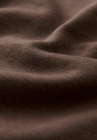 Next HEAVYWEIGHT SHORT SLEEVE CREW NECK STANDARD - T-shirt imprimé - chocolate brown
