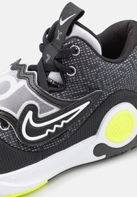 Nike Performance Basketbalové boty - black
