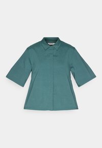 EVERYDAY EXPLORER SHIRT - Skjorta - peak