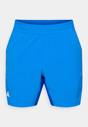 Blauwe sportieve shorts met een gestructureerde afwerking, elastische tailleband en zijaccenten in een donkerder blauw. Voorzien van een klein wit logo op het linkerbeen.