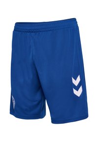 Blå idrottsshorts med elastisk midja och vita dubbel chevronränder på högra benet.