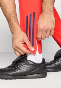 Czerwone spodnie sportowe z granatowym detalem w postaci trzech pasków po boku. Ręka podciąga nogawkę, odsłaniając białą skarpetę i czarne buty sportowe.