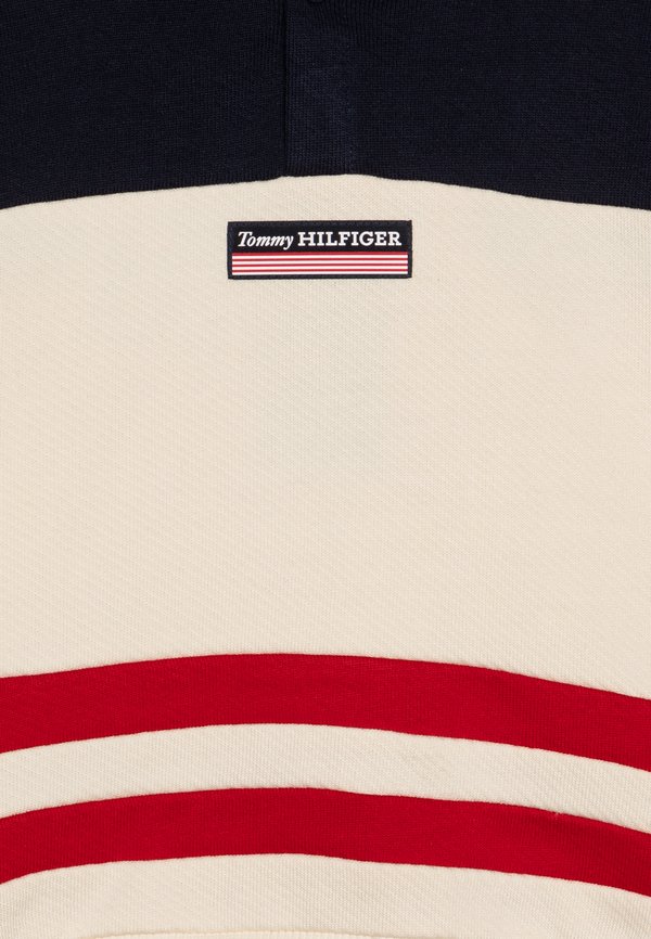 MONOTYPE STRIPED HOODIE - Hoodie - calico2