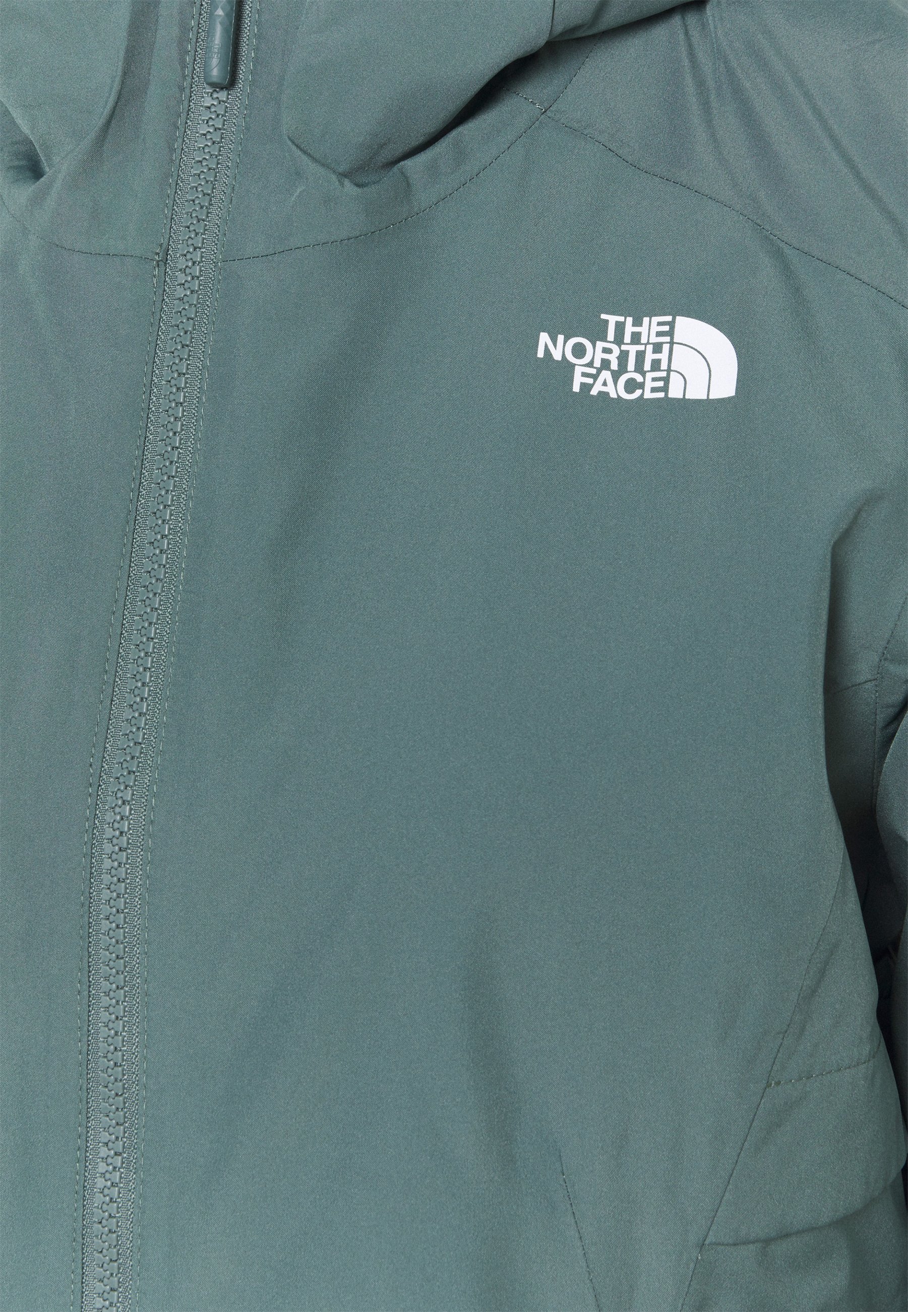 silver north face coat