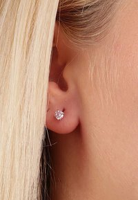 FAVS Orecchini - silberfarben