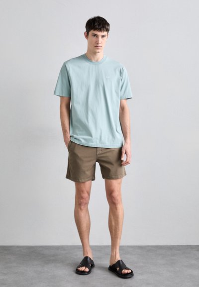 Lichtblauwe katoenen t-shirt met een ronde hals, gecombineerd met een bruine short. Model draagt zwarte sandalen; minimalistisch ontwerp zonder zichtbare patronen.