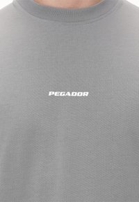 Pegador LOGO BOXY TEE - Basic póló - washed cool grey/white gum