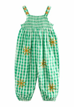 REGULAR FIT - Haalari - green gingham
