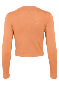 Kerge oranž pikka varrukaga lühike kardigan, mis on valmistatud pehmest kudumiskangast. Omab ümarat kaelust ja soonikkoes mansette puhta viimistlusega.