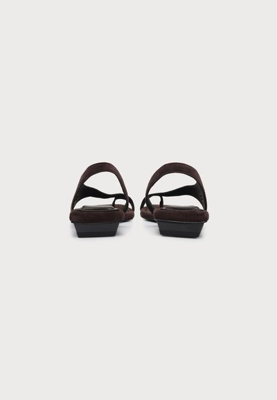 Paire de sandales marron foncé à talon bas et bout ouvert avec de larges brides, vues de dos sur un fond clair uni.
