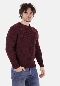 Uomo con capelli ricci che indossa un maglione a trecce bordeaux e jeans blu, in piedi con una mano in tasca su uno sfondo bianco.