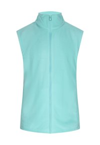 Helles blauer ärmelloser Fleece-Westen mit hohem Kragen und vorderem Reißverschluss. Weiche Textur, minimalistisches Design und keine zusätzlichen Verzierungen.