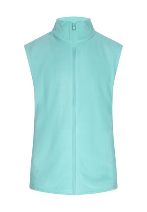 Gilet senza maniche in pile azzurro chiaro con colletto alto e zip frontale. Texture morbida, design minimalista e senza ulteriori decorazioni.