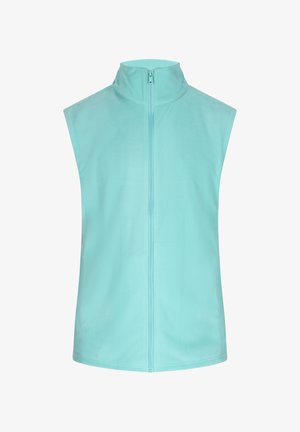 Vest din fleece fără mâneci, de culoare albastru deschis, cu guler înalt și fermoar frontal. Textură moale, design minimalist și fără embellismente suplimentare.