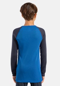 Long-sleeve shirt with a blue body and dark gray raglan sleeves, featuring a smooth texture and ribbed fabric. Back view shown.