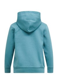 Capuchon sweatshirt in licht teal, met zachte stof, geribbelde manchetten en een kangoeroezak. Eenvoudig, schoon ontwerp zonder zichtbare patronen.