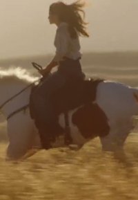 Un cavalier portant une chemise claire et un pantalon foncé est juché sur un cheval blanc avec des taches noires, galopant à travers des herbes dorées.