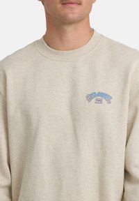 Beżowa bluza z okrągłym dekoltem i ściągaczami na rękawach. Posiada kolorowy wzór graficzny na lewej piersi. Miękka, teksturowana tkanina.