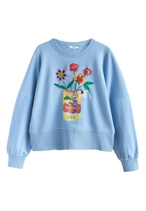 Next, Sweatshirt - pale blue embroidered tinned flowers graphic
