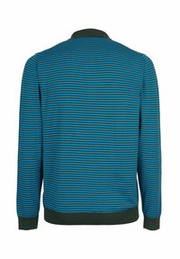 Pullover a righe con strisce orizzontali blu e verdi, colletto, polsini e orlo inferiore a costine, realizzato in un tessuto a maglia testurizzata.