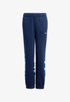 LOOSE SANTIAGO - Tracksuit bottoms - night indigo collegiate royal