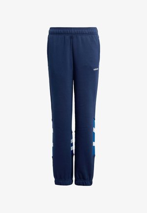 LOOSE SANTIAGO - Donji dijelovi trenirke - night indigo collegiate royal