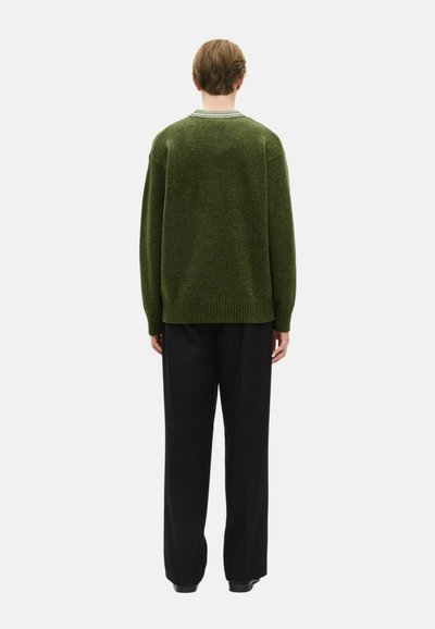 Pullover verde a maglia con una vestibilità comoda, orlo a coste e scollatura a girocollo. Indossato con pantaloni neri, visto da dietro.