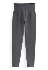 HIGH WAIST STANDARD - Leggings - slate grey