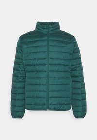 Green puffer jacket with a high collar, horizontal quilted pattern, front zipper, and elastic cuffs. Lightweight fabric with a smooth texture.