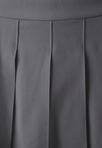 Jupe plissée grise en tissu lisse, avec des coutures discrètes et une taille structurée pour une silhouette épurée.