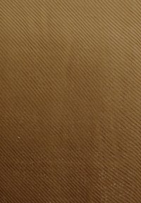 FRAAS OMBRE STOLA - Sciarpa - organic olive