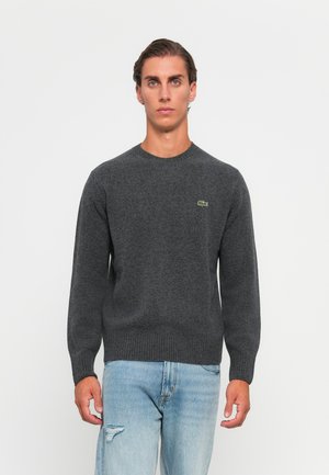 Young man with short dark hair wears a dark grey crewneck sweater with a small green logo and light blue ripped jeans, standing against white.