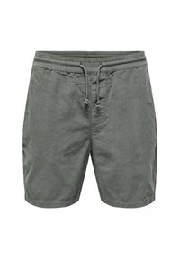 Only & Sons ALFI - Shorts - grau