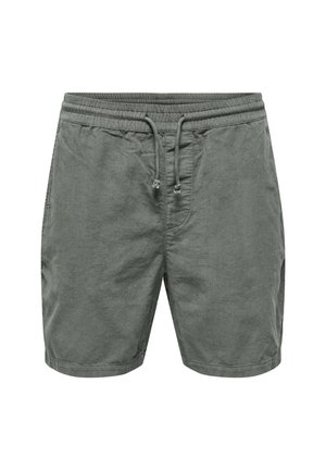 Only & Sons ALFI - Shorts - grau