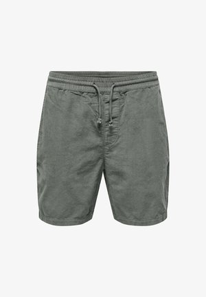 Only & Sons ALFI - Shorts - grau