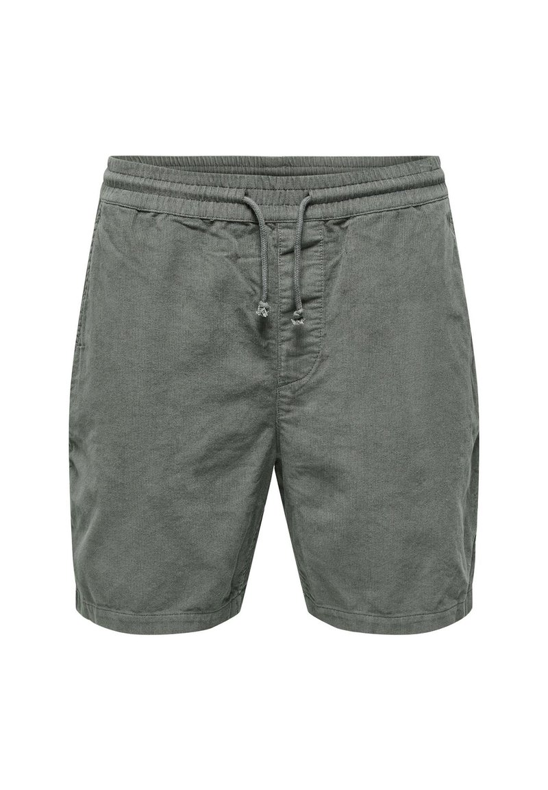 Only & Sons ALFI - Shorts - grau